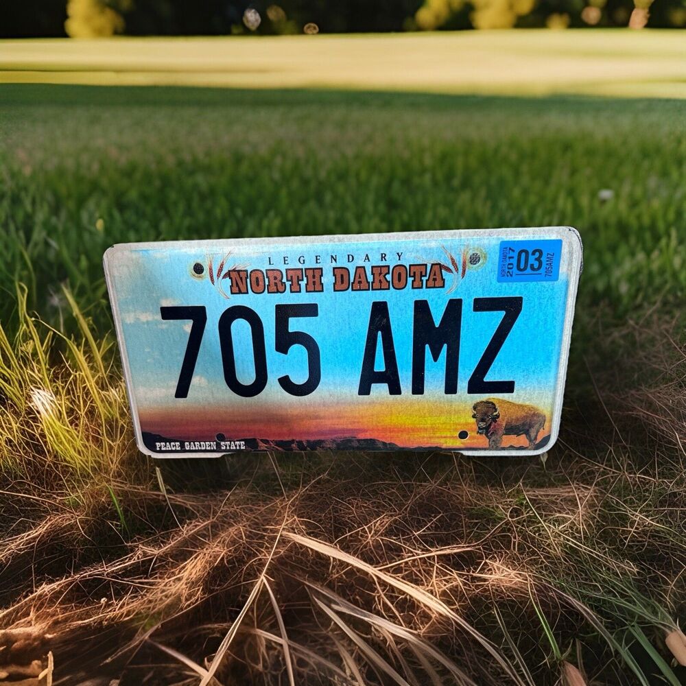 North Dakota Buffalo license plate. 2003
